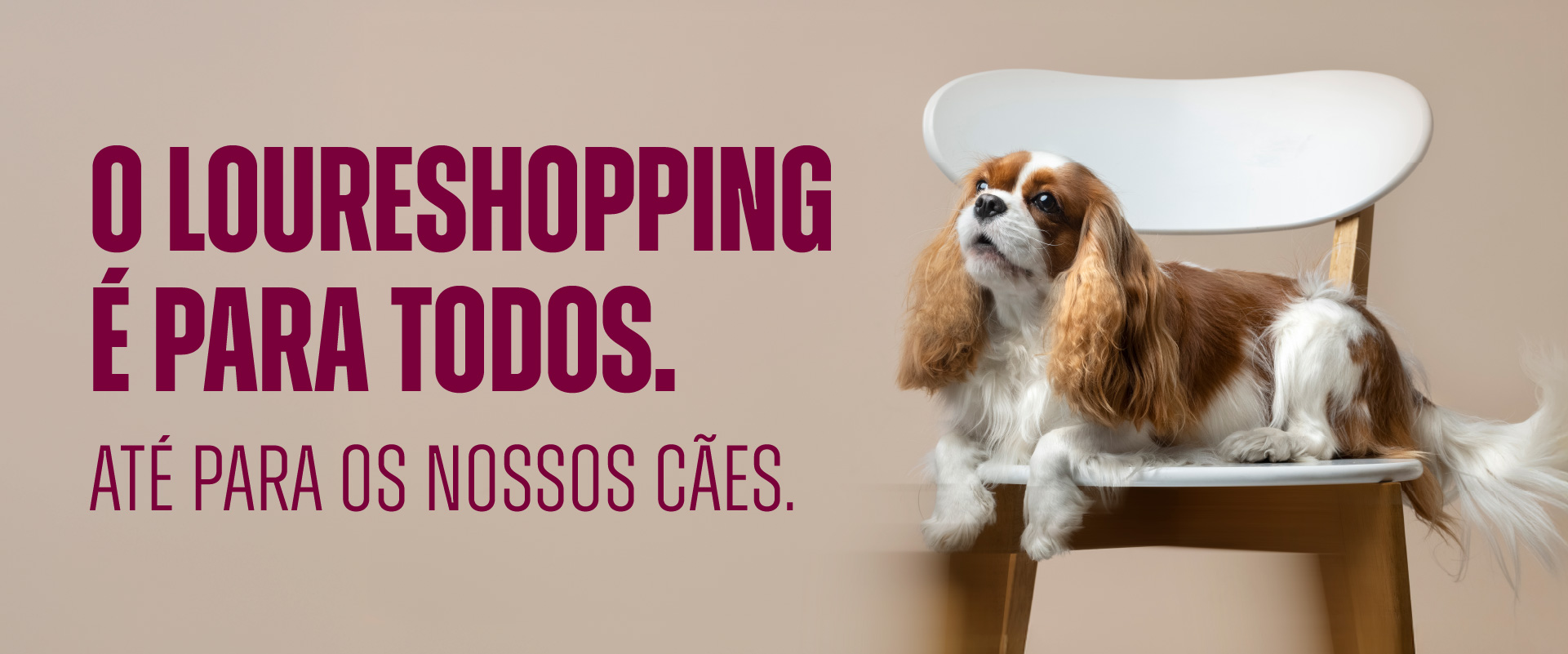 O teu amigo de 4 patas agora tem lugar garantido no LoureShopping!