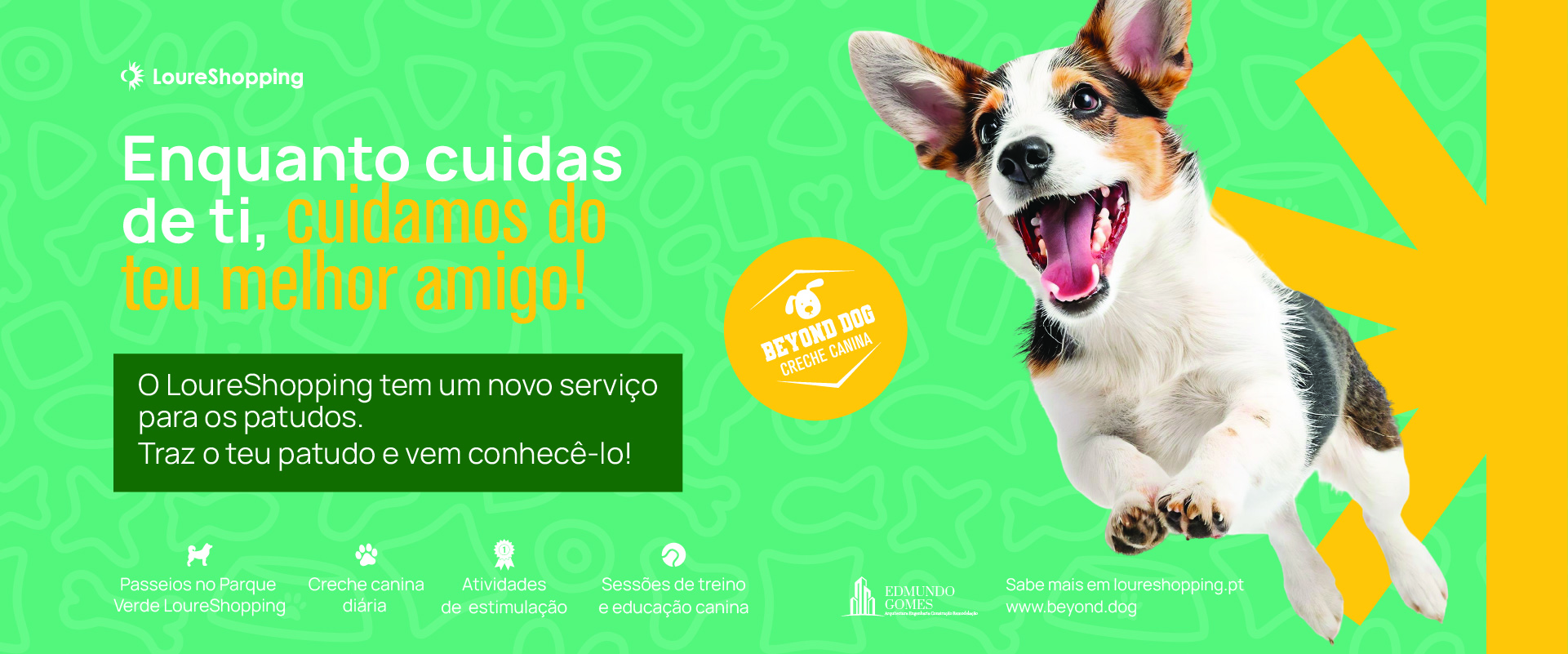 Creche Canina