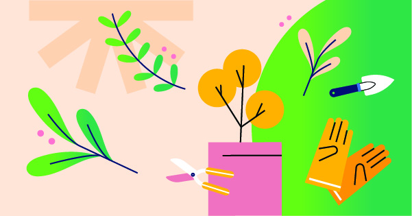 🌱 Já nasceu a nossa Horta Comunitária!