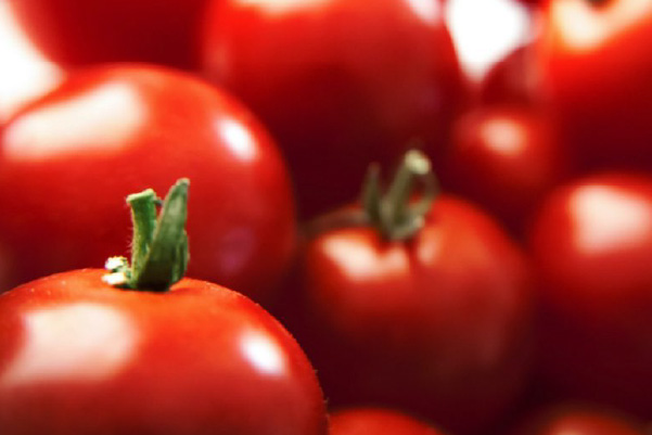 Tomatino